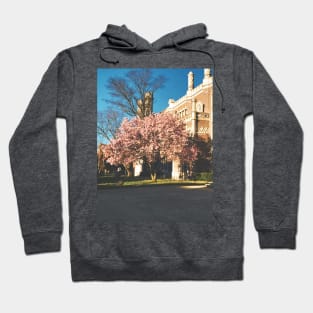 Spring Bloom Hoodie